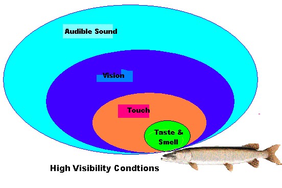 Audible Fishing Lures 